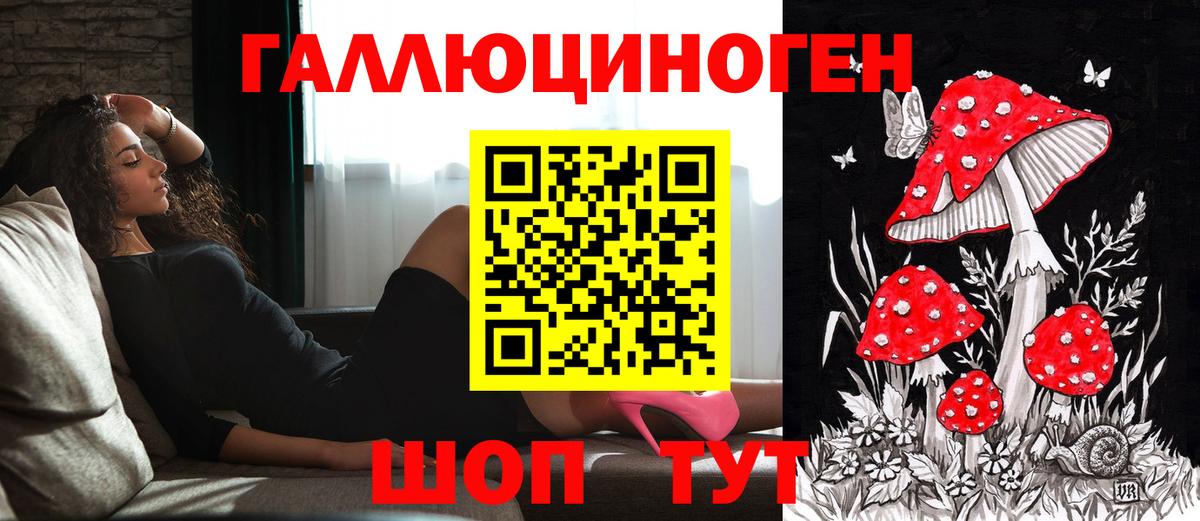 Псилоцибиновые грибы Cubensis  Вход с VPN  Киржач 