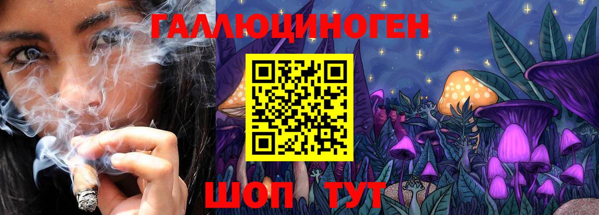 Галлюциногенные грибы GOLDEN TEACHER Киржач